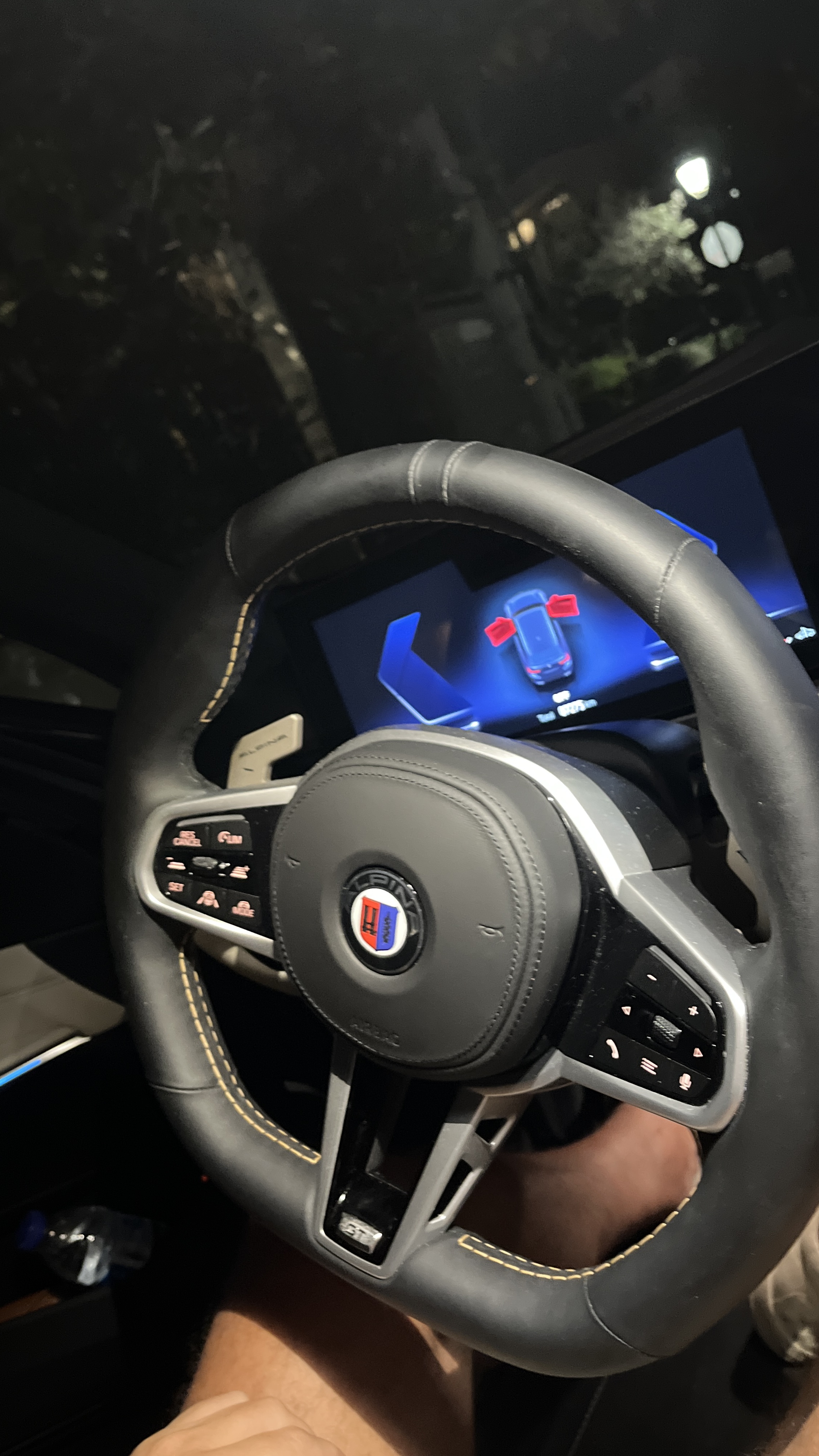 Steering wheel of the ALPINA B3 GT with ALPINA badge.